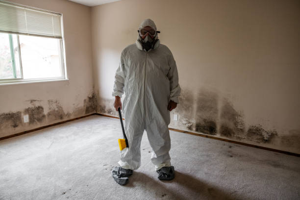 Best Professional Mold Removal  in Hurlburt Field, FL